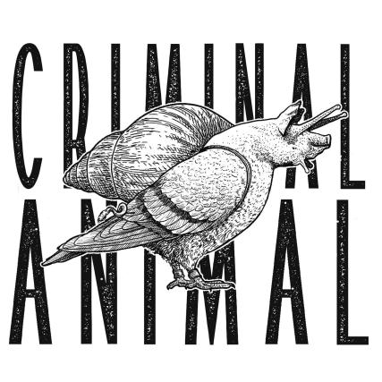 Logo Criminal Animal - Copie.jpg (39 KB)